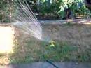 sprinkler dreams