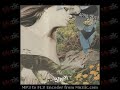 107 - Therapies Son - Touching Down