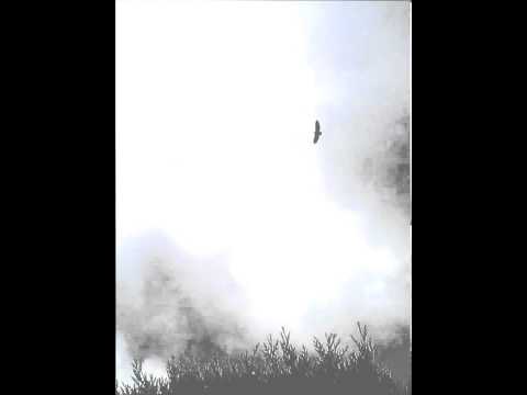 Gieren boven de Gorges du Tarn