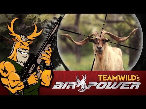 EXTREME Airgun - Hunting Catalina Goats