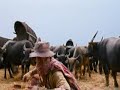 Dynamite Warrior / Tabunfire (THAI 2006) - Preview