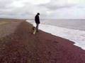 Lola-on-beach