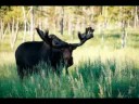 Central Nova Scotia, Canada - Scenery & Adventure