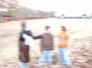 scene8