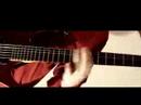 flight of mosquito  fedor roubtsov http://roubtsov com