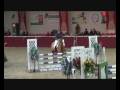 videos de towerlands new year