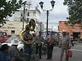 coyotes zacatecas