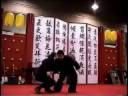 QIN NA DEMO Lijun Wang