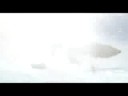 La era de hielo 3