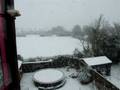 videos de snow snow snow.avi