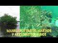 Manglares, Pastos Marinos y Arrecifes Coralinos