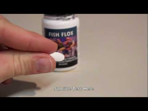 Fish Flox 250 mg Ciprofloxacin Fish Antibiotic