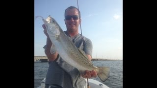 DockSide TV    