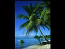 Summer songs. HOTT