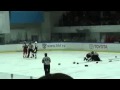 Витязь-Авангард 09.01.2010.