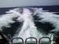 Nimbus 35 on Skagerak