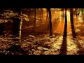 Toby Lightman - Holding a Heart (Moseqar Remix)