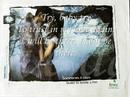 scorpions,still loving you- lyrcs