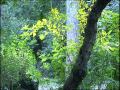 Ischia Mountains and parks Eng. Version