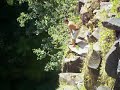 SOME CRAZY LOCAL KIDS.