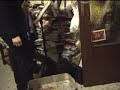 gatti-buffi-funny-cat.html
