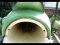 Assistir ao v�deo