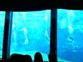 The Little Mermaid Part 1 