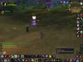 videos de Warsong
