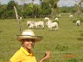 jose gregorio m 