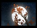 Triple J - Moonlight Commercial Triple J - Moonlight Commercial