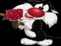 videos de lieb dich mausi.wmv