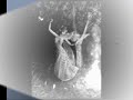 Video screenshot