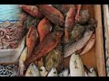 Samos island, Avl�kia & Tsabou beach, Part 2