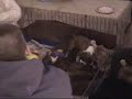 The Aggressive Dog