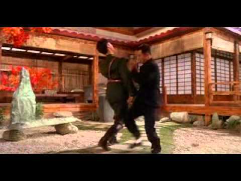 jet lee
