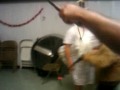 Funny Costumes Dancin