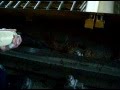 Просмотр видео