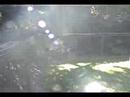 More Elsie Garden Railway Pt.1