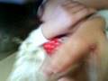 videos de WaliQin smiex =D