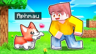 aphmau corgi plush