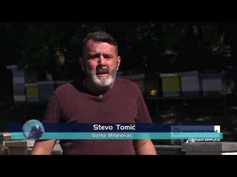 ПОРОДИЦА ТОМИЋ ИЗ ГОРЊЕГ МИЛАНОВЦА БАВИ СЕ ПЧЕЛАРСТВОМ ВЕЋ 15 ГОДИН