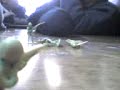 piteate un soldado