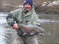 In Search of Situk River Steelhead