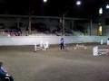 AKC Exc JWW 11-28-09 Posey.MOV