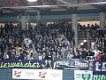 SV Austria Salzburg beim Salzburger Stier