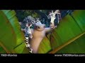 ריקודים מדגסקר-I LIKE TO MOVE IT