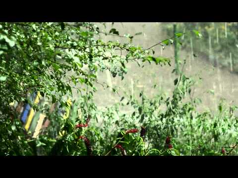 Смотреть видео