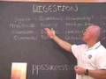 Digestion, Absorption. Elimination and Detoxification -CHEK