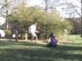 darkon-during-picnic.html