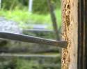 knifethrowing